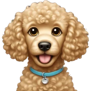 The golden poodle puppy sticker