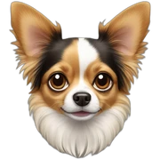 papillon chihuahua dog sticker