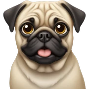 pug sticker