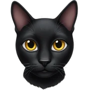 Black cat sticker
