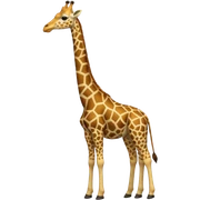 Giraffe  sticker