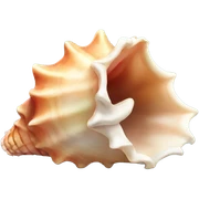 Conch shell sticker