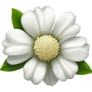 white flower sticker