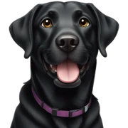 happy black labrador sticker