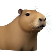 Capybara sticker
