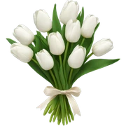 Bouquet of white tulips  sticker