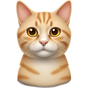 British cat orange color sticker