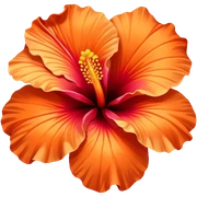 orange hibiscus  sticker