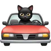 Black cat driving car sticker