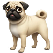 pug sticker