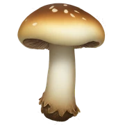 shiitake mushroom (Lentinula edodes) sticker