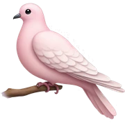 pastel pink dove sticker