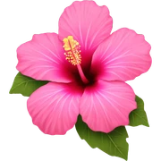 Pink hibiscus flower sticker