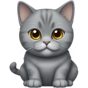 grey british shorthair sticker
