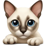 Siamese kitten laying sticker