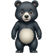 black bear with a white snout  sticker