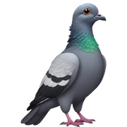 Gay pigeon  sticker