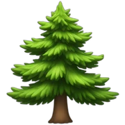 pine tree sticker