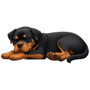 Rottweiler sleeping sticker