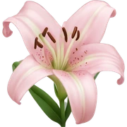 light pink lilium sticker