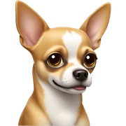 Chihuahua  sticker