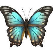 butterfly  sticker