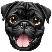 black-pug sticker