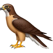 Falcon sticker