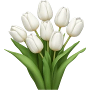 white tulip bouquet  sticker
