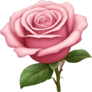 Rose sticker