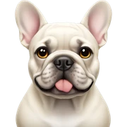 French bulldog  sticker