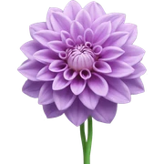 Light purple dahlia flower with green stem sticker