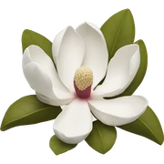 magnolia sticker