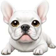 White Frenchie laying  sticker