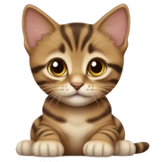 Brown tabby kitten laying sticker