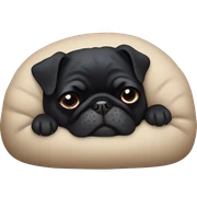 Black pug sleeping  sticker