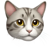 Cat sticker