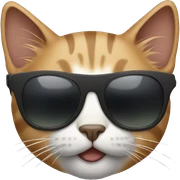 Cat with sunglasses sticker