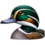 Wood Duck sticker