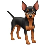 Pinscher sticker
