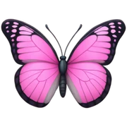 Pink butterfly sticker