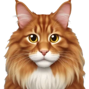 Red Maine Coon sticker