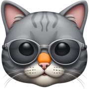 Cat with sunglasses sticker