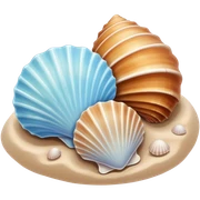 aesthetic seashells sticker