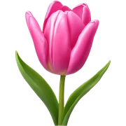 Pink tulips with a bow sticker
