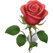 Rose sticker