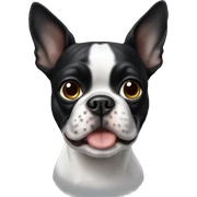 boston terrier sticker