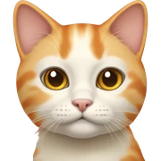 Cream orange cat  sticker