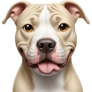 Pitbull sticker