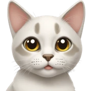Gato sticker